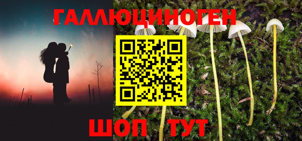 Псилоцибиновые грибы Cubensis Лыткарино