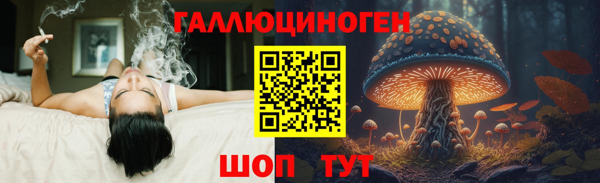 купить наркотики цена  Псилоцибиновые грибы Psilocybe  Псилоцибиновые грибы Psilocybe  Вход с VPN  Лыткарино 